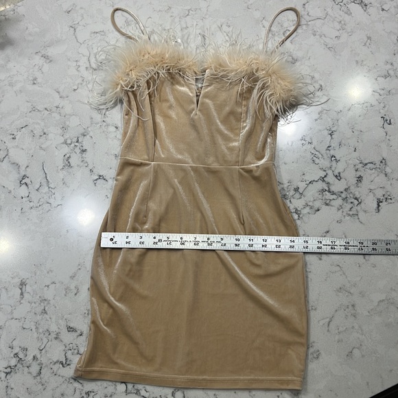 Superdown - Tan feathered dress - Picture 2 of 5